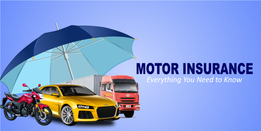 motor insurance
